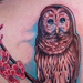 Owl perched on cherry blossom branch Tattoo Design Thumbnail